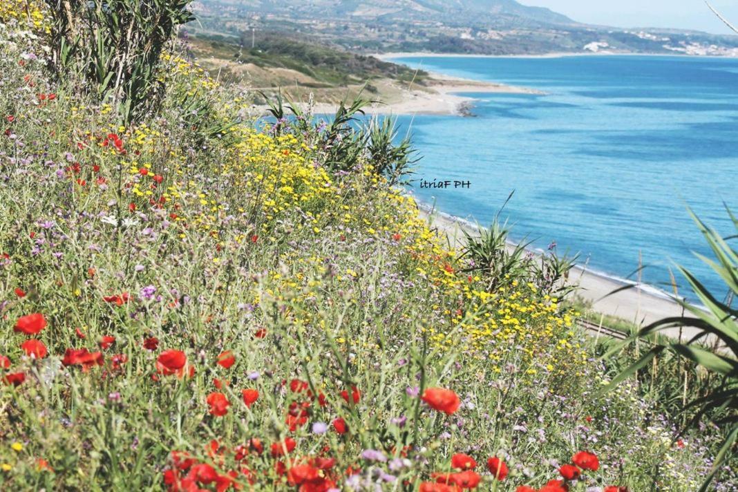 Climatizzato In Centro A 100M Dal Mare Cirò Marina Exterior foto
